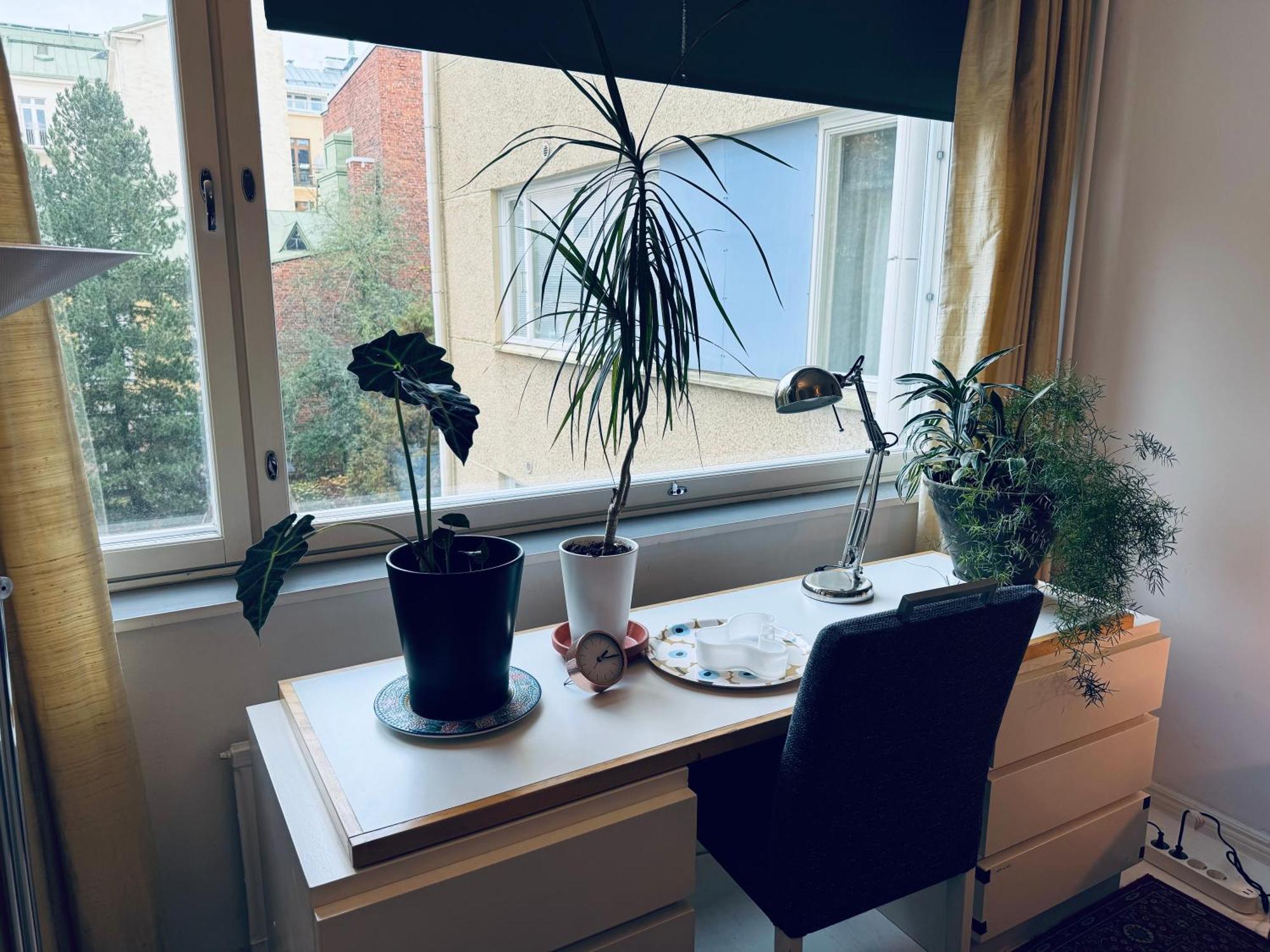 Lovely Apartment, Vuorimiehenkatu 31 헬싱키 외부 사진