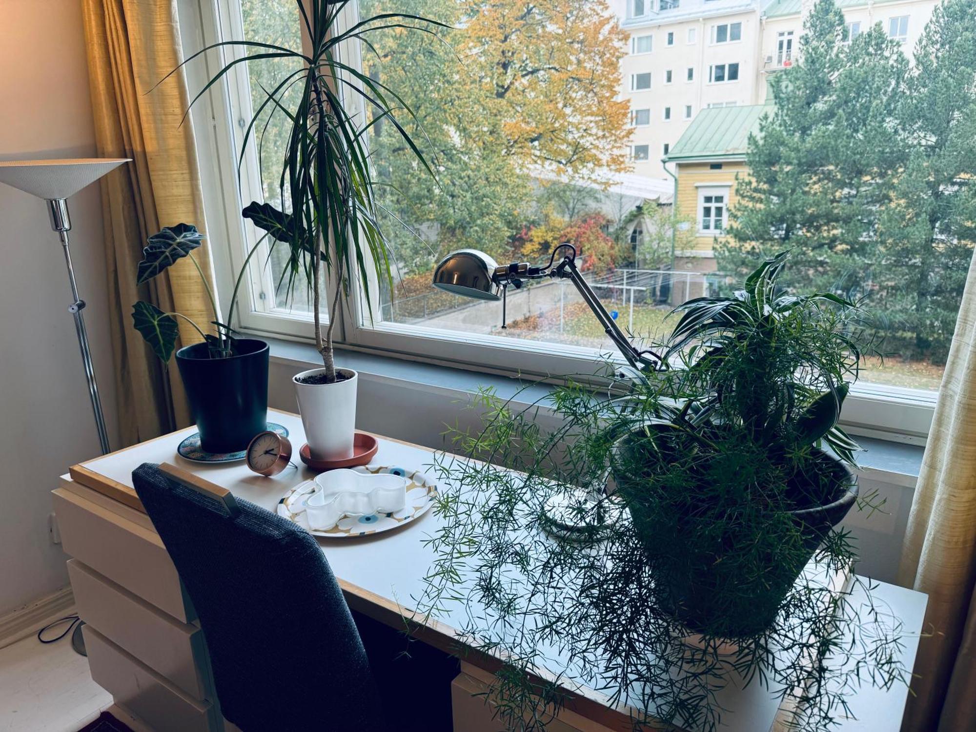 Lovely Apartment, Vuorimiehenkatu 31 헬싱키 외부 사진
